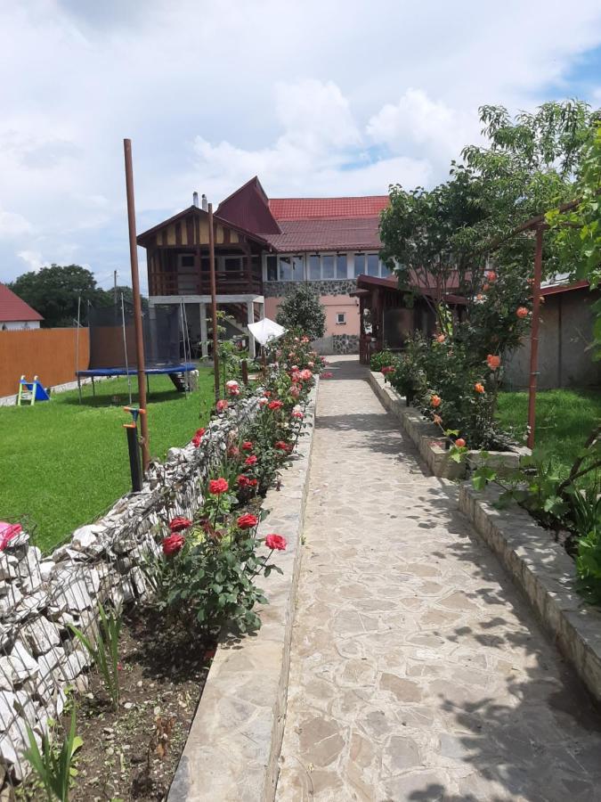 Casa Luca Hotel Sîmbăta de Sus Buitenkant foto